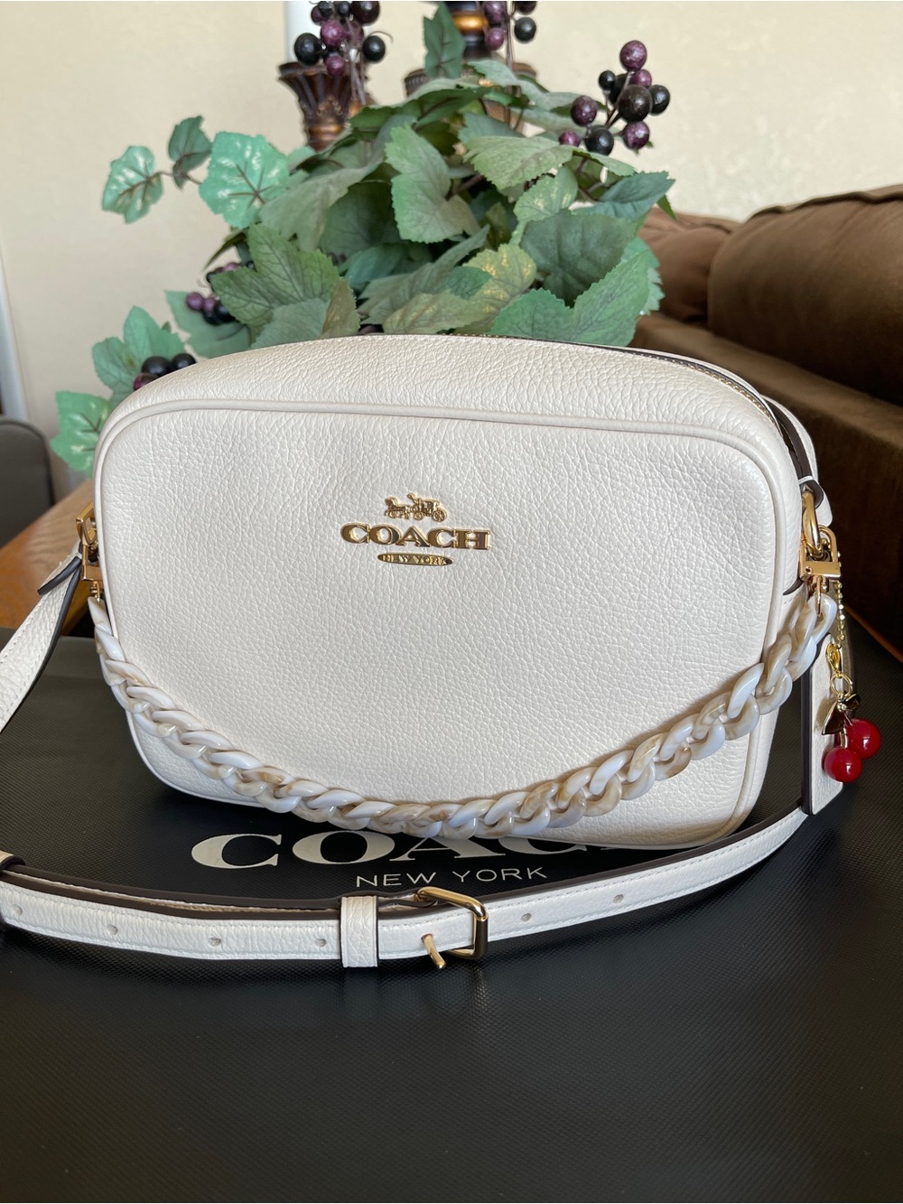Coach Jamie Camera Crossbody Shoulder Bag